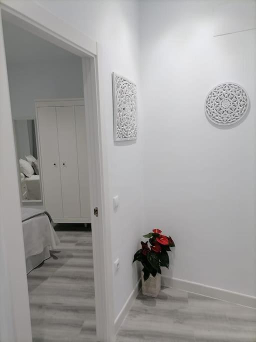 Precioso Apartamento Con Patio Interior. Medina-Sidonia Εξωτερικό φωτογραφία